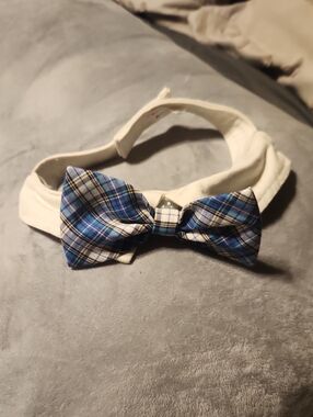 Bow Tie Dog Collar